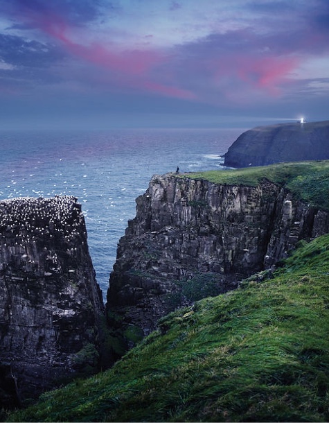 Cliffs in Cape St. Mary's