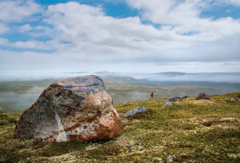 Off Route 510, Labrador