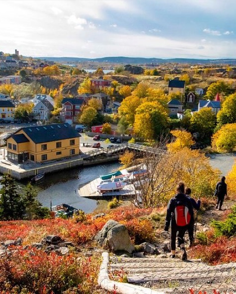 Quidi Vidi