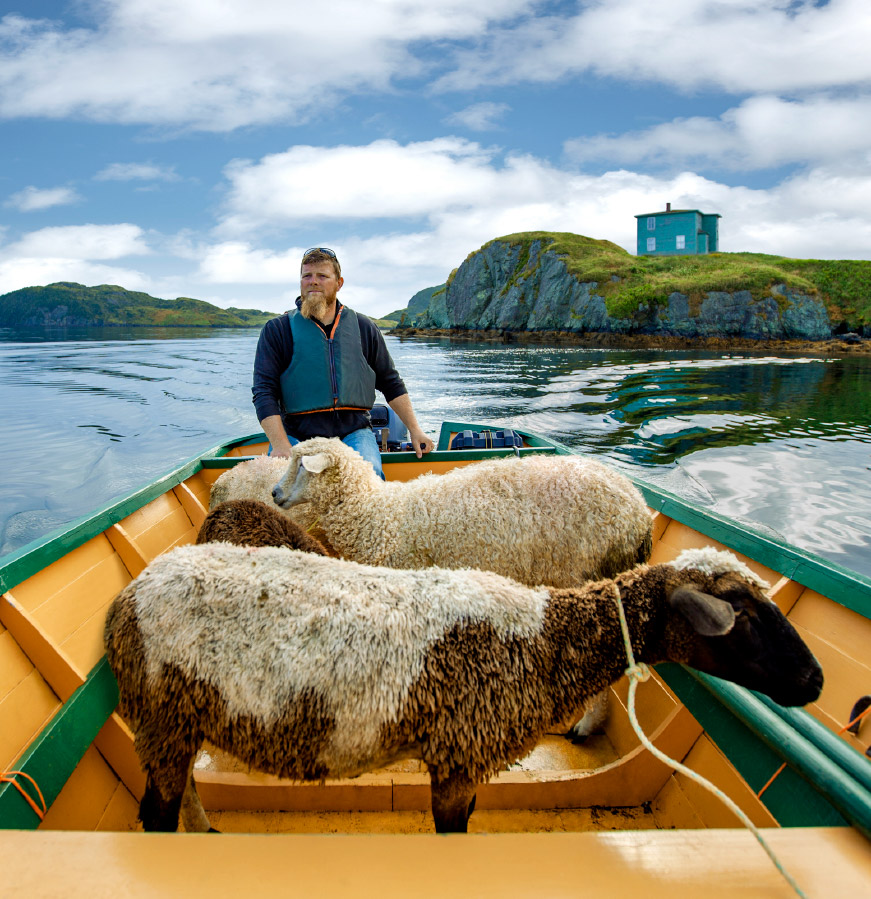Man sits in a boat on the water with sheep as his passengers in Burin